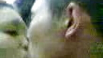 Kedi hd anal sex izle anal ile seks: kedi al