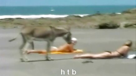Sıcak ve cıms ilk anal sex izle dörtlü kusma